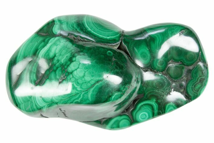 Polished Banded Malachite Specimen - DR Congo #305225